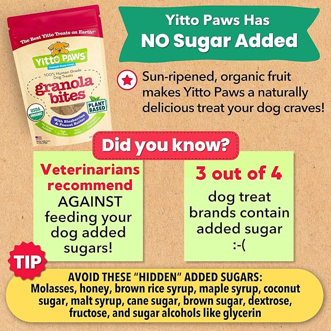 Organic Dog Treats – Crunchy, Blueberry & Peanut Butter Training Dog Biscuits – Vegan, Human-Grade, No Sugar Added – Healthy, All Natural – Made in USA, (8 oz)