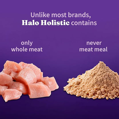 Halo Holistic Cage Free Chicken Cat Food, Healthy Grains Dry Cat Food, Complete Digestive Health, Kibble for Adult Cats, 6 lb Bag