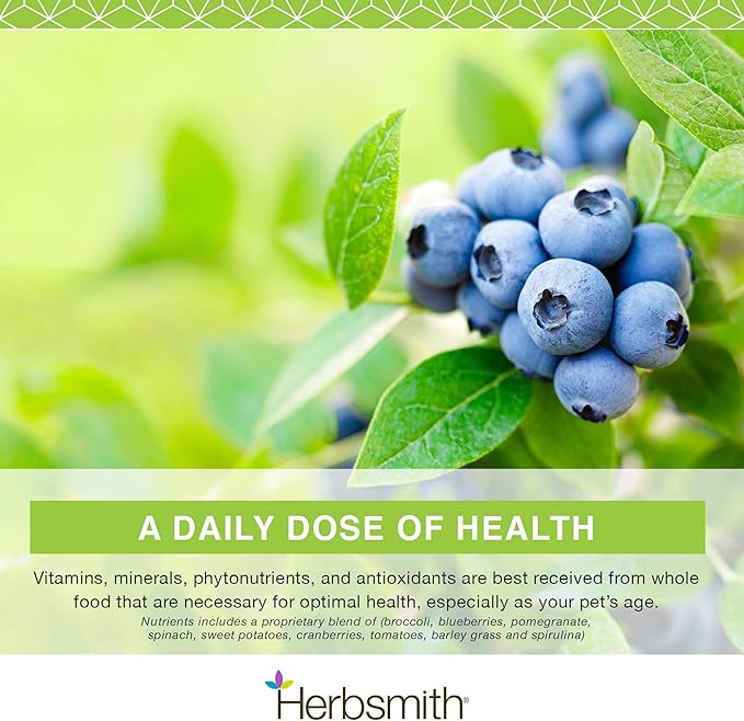 Herbsmith Nutrients Superfood Dog Multivitamin Featuring Vitamins & Minerals from Whole Foods Boost Kibble or DIY Raw with Antioxidants for Puppies to Seniors - 6.5 oz