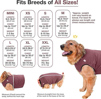 BellyGuard Dog Surgery Recovery Suit, Dog Onesie for Post-Op Care, Recovery Apparel for Female and Male, Surgical Body Cover for Canine Healing Support