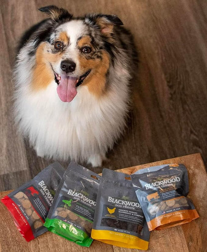Blackwood Oven Baked Dog Treats, Duck with Apple, 8 Ounce Pouch, Training Treats for All Life Stages and Breed Sizes