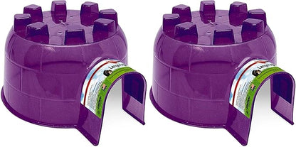 Kaytee Igloo Habitat Hideout for Pet Guinea Pigs, Ferrets, Dwarf Rabbits, Chinchillas, and Other Small Animals, Assorted Colors, Large (Pack of 2)