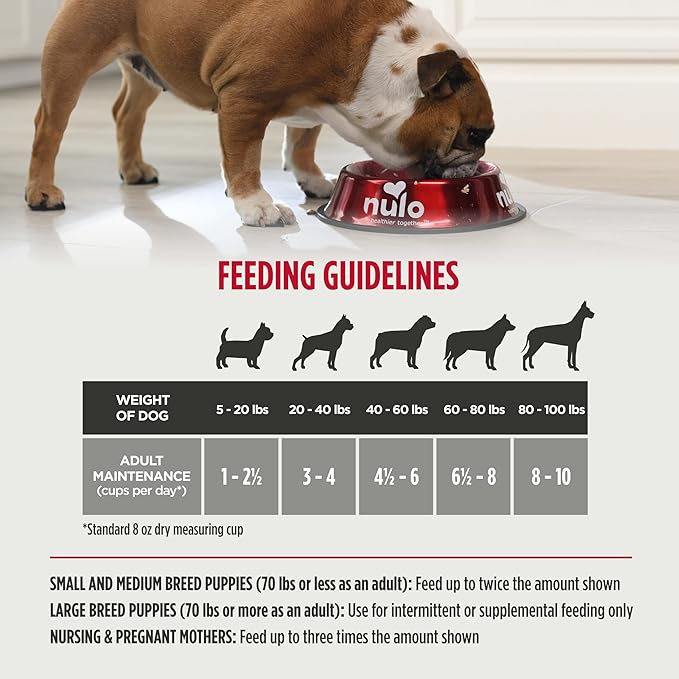 Nulo Freeze-Dried Raw Turkey & Salmon Recipe with Strawberries Complete and Balanced Dry Dog Food Kibble, 18 Ounce Bag