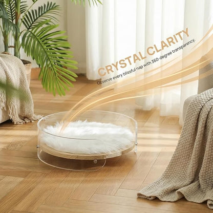 Modern Clear Acrylic Pet Bed ，cat beds for Indoor Cats，cat Bed - Contemporary pet Furniture, Comfortable pet Bed and Sofa for Small Dogs, Indoor pet Bed