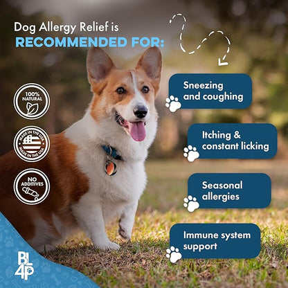 Dog Allergy Relief & Immune System Booster – Homeopathic Formula for Allergy Support & Skin Relief for Dog Itching – Helps with Sneezing, Runny Nose, Swelling, & Seasonal Allergies – 400 Tiny Pills