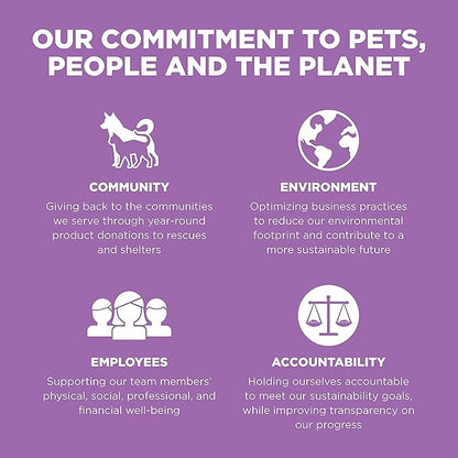 Go! Solutions Carnivore Chicken, Turkey + Duck Grain-Free Dry Cat Food, Our Highest-Protein Kibble Made with Real Meat & Fish, Cranberries for Urinary Health, for Kittens, Adults & Seniors, 8 lb Bag
