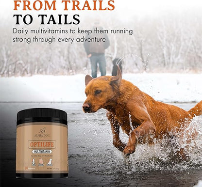 OptiLife Dog Multivitamin Powder - Adult Dog Multivitamin with Probiotics, Allergy Support, Joint Support, Skin & Coat Support - Dog Vitamins and Supplements - Multivitamin for Dogs (60 Servings)