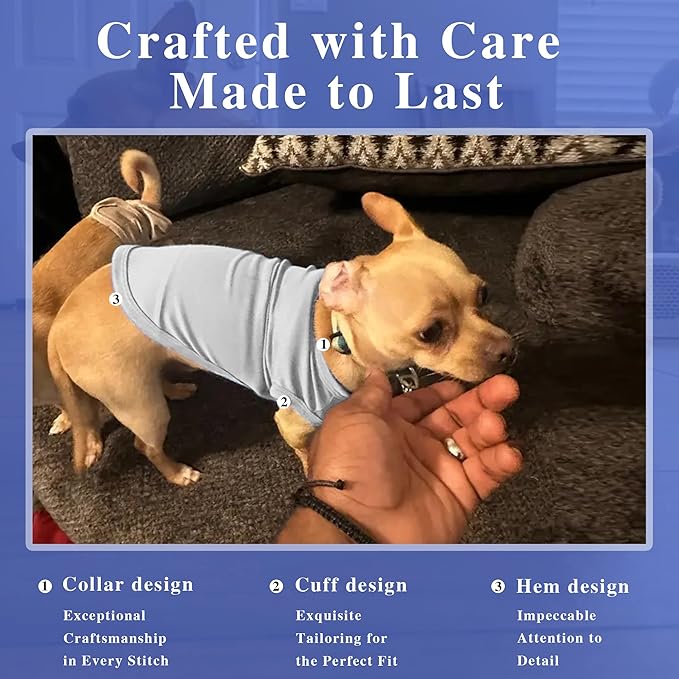 2 Pack Solid Color Dog Shirts - Lightweight, Quick Dry, Breathable Pet T-Shirts for Small to Large Dogs - Stretchy, Durable, Ideal for All Seasons and Holidays.Grey Blue XS