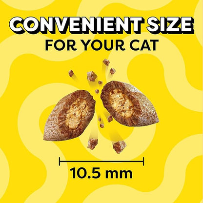 Temptations Cat Treats Classic Crunchy and Soft Cat Treats, Savory Salmon Flavor, 6.3 oz. Pouch (Pack of 10)