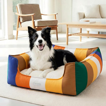 PETNOVO Large Dog Bed with Washable Removable Cover, Reversible All-Season Cushion, Non-Slip Base, Rainbow Pattern, Eco Gift Box, 29.5 × 21.7 × 7.9 in