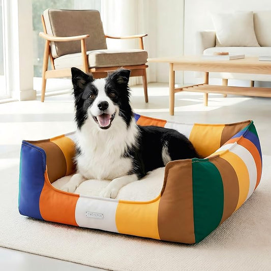 PETNOVO Large Dog Bed with Washable Removable Cover, Reversible All-Season Cushion, Non-Slip Base, Rainbow Pattern, Eco Gift Box, 29.5 × 21.7 × 7.9 in