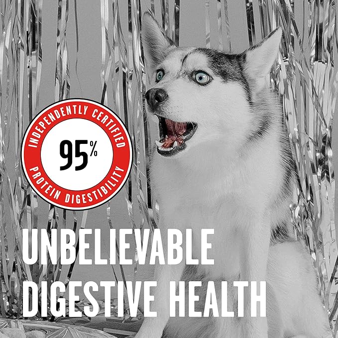BIXBI Liberty Freeze-Dried Dog Food Topper & Treats,Beef – 98% Meat & Organs,No Refrigeration – USA Made,12 oz,(Pack of 2)