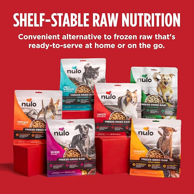 Nulo Freeze-Dried Raw Chicken Recipe with Blueberries Complete and Balanced Dry Dog Food Kibble, 8 Ounce Bag