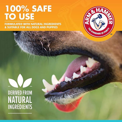 Arm & Hammer for Pets Dog Oral Care Spray, Mint Flavor Breath Freshener & Teeth Cleaning, Baking Soda Enhanced Plaque & Tartar Support, Easy Brushless Dental Care for Adult Dogs, 4 Fl Oz