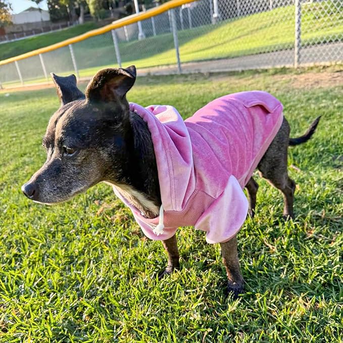 BEAUTYZOO Dog Hoodie Sweaters for Small Medium Dogs- Warm Fall Winter Fleece Jacket for Cold Weather, Soft Velour Hooded Coat with Leash Hole & Pocket, Puppy Sweatshirt Clothes Bulldog Schnauzer, Pink