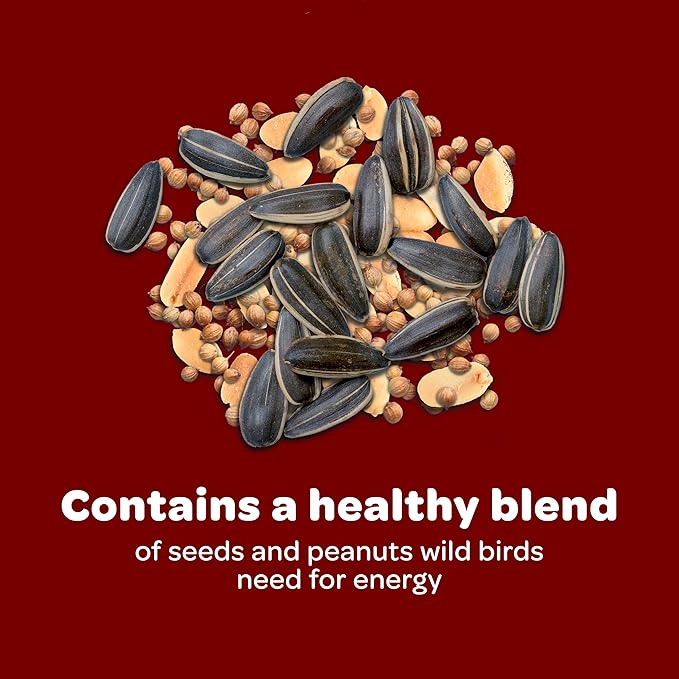 Kaytee Wild Bird Songbird Blend Bird Seed, 5 Pound