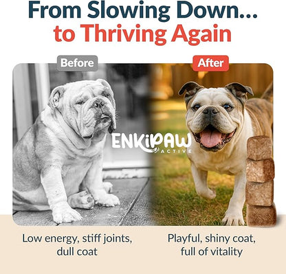 9-in-1 Senior Dog Supplement Multivitamin - Soft Dog Chews Treats for Joints, Energy, Digestion, Immunity | Probiotics, Colostrum, Omegas, Taurine – Duck Flavor - 120 Chewables