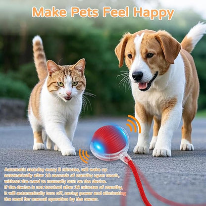 Goosheep 2025 New 2Pack Cat Ball Kitten Toys for Indoor Interactive Kitty Ball Toy Speedy Tail 360° Automatic Rolling for Dog, Cat(Red Grey)