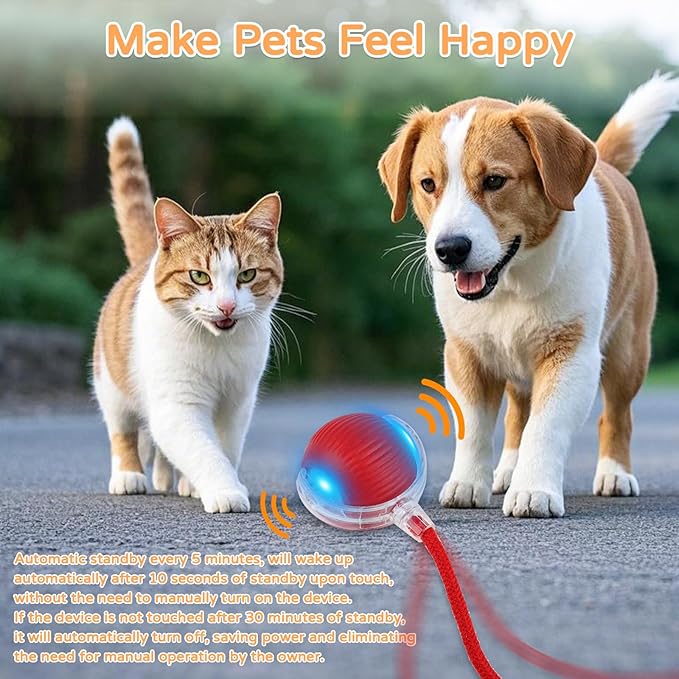 Goosheep 2025 New 3Pack Cat Ball Kitten Toys for Indoor Interactive Kitty Ball Toy Speedy Tail 360° Automatic Rolling(Red Grey Green)