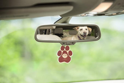 One Fur All Pet House & Car Freshener - Evergreen Forest Pack of 4 - Non-Toxic Pet-Friendly Hanging Odor Eliminator For Small Spaces