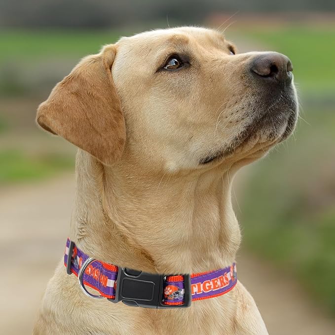 Pets First Collegiate PET Collar OLD VERSION Clemson Tigers Dog Collar, Size Large. Best Sports Team Collar for Dogs & Cats. A Shiny & Colorful Dog & Cat Collar Licensed by The NCAA
