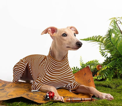 Dog Sweaters for Small Dogs Girls Boys, Striped Pet Sweaters for Fall Winter Dog Clothes, Turtleneck Pullover Knitwear for Small Medium Large Dogs