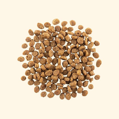 GATHER Free Acres Free-Run Chicken Grain-Free & Gluten-Free Dry Cat Food, Healthy Kibble Made with USDA Certified Organic & Non-GMO Ingredients, for Adults & Seniors, 4 lb Bag