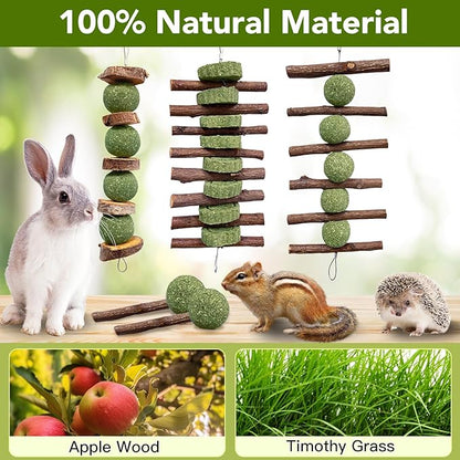 Jorewood 3 Pcs Bunny Chew Toys with 3 Pcs Rabbit Chew Lollipop for Teeth Grinding, Improve Dental Health, Treats for Rabbits Guinea Pigs Chinchillas Bunnies Hamsters
