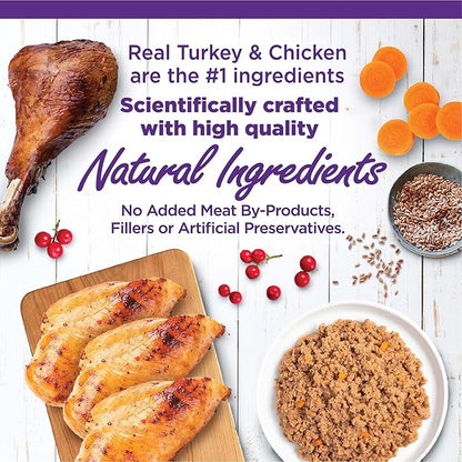 Wellness Complete Health Pate Variety Pack Adult Canned Wet Cat Food, Natural, Protein Rich, Grain Free, Chicken and Turkey Favorites, 5.5 oz, Pack of 12 Cans