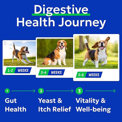 Bark&Spark Dog Probiotics & Digestive Enzymes (Gut Health) Allergy & Itchy Skin - Pet Diarrhea Gas Treatment Upset Stomach Relief, Digestion Health Prebiotic Supplement Large Dog Treats (240Ct Bacon)