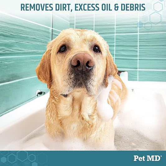 Pet MD - Benzoyl Peroxide Medicated Shampoo for Dogs and Cats - Effective for Skin Conditions, Dandruff, Itch Relief, Acne and Folliculitis - Citrus Scent - 12 oz (Pack of 2)