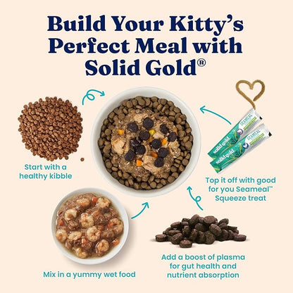 Solid Gold Indoor Dry Cat Food - Grain Free & Gluten Free - Salmon Cat Food Dry Kibble for Indoor Cats for Gut Health - Sensitive Stomach & Hairball Support for Adult Cats - 12LB