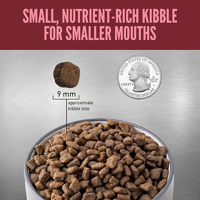 ORIJEN Grain Free High Protein Dry Dog Food Small Breed Recipe 4lb Bag