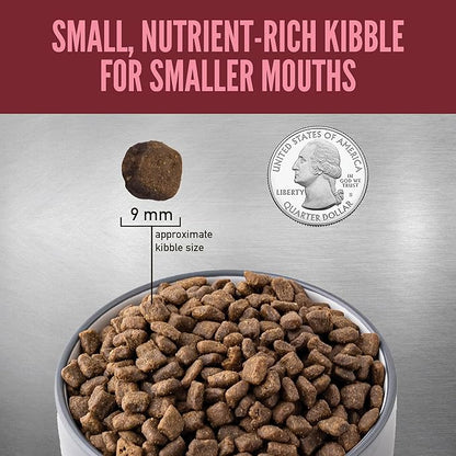 ORIJEN Grain Free High Protein Dry Dog Food Small Breed Recipe 4lb Bag