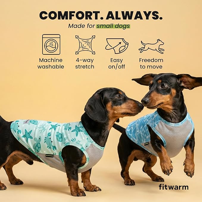 Fitwarm 2 Pack Marine UPF 50+ UV Sun Protection Dog Shirt, Lightweight Cooling Vest, Quick Dry Summer Clothes for Small Dogs Boy Girl, Pet Outfit, Sky Blue, Mint Green, Small