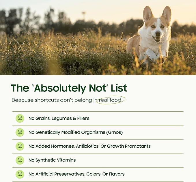 smallbatch Pets Freeze Dried Raw Dog Food, Turkey Recipe, 14 oz, Organic High Protein Dog Food, Grain Free, Made in the USA, Humanely Raised Meat, Single Protein, for Picky Eaters, Hydrate & Serve