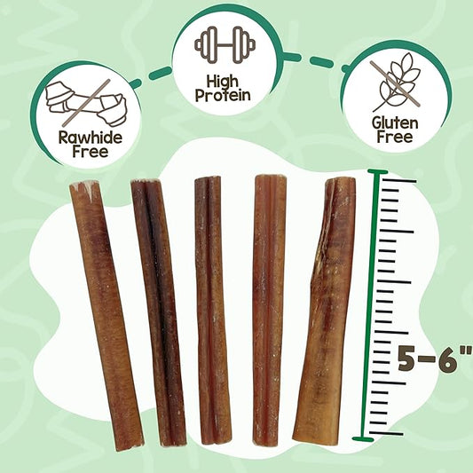 Nature Gnaws Large Bully Sticks for Dogs 5-6" (15 Count) - Thick Long Lasting for Aggressive Chewers and Large Dogs - Natural Beef Dog Chew Bones