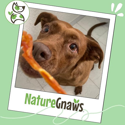 Nature Gnaws USA Turkey Tendons for Dogs (1Lb) - Delicious Grain Free Reward Snack for Small, Medium & Large Breeds - Premium Natural Dog Chew Treats