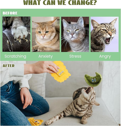 Pawsible 3 Pack Ravioli Catnip Toys for Indoor Cats, Interactive Cat Toys Filled with 100% Organic Catnip, Plush Chew Toys for Kittens, Teething Soft Catnip Toys for Cats