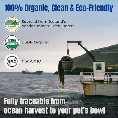 Life Line USDA Certified Organic Ocean Kelp for Pets & Livestock | Supports Skin & Coat Health, Immune Function, and Dental Hygiene | Promotes Metabolism & Reduces Plaque and Shedding – 16 oz