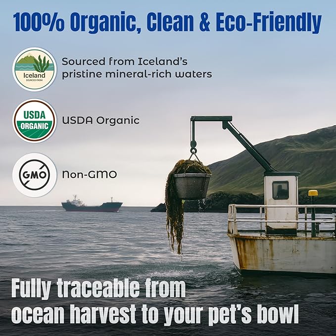 Life Line Organic Ocean Canister Kelp for Cats, Dogs, Livestock, and Horses | Supports Skin, Coat & Immune Health – Reduces Tartar, Plaque & Shedding – Increases Metabolism and aids Digestion -10 lb