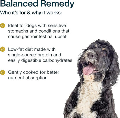 JustFoodForDogs Pantry Fresh Wet Dog Food, Complete Meal or Dog Food Topper, for Sensitive Stomachs, Balanced Remedy Human Grade Dog Food Recipe - 12.5 oz (Pack of 12)