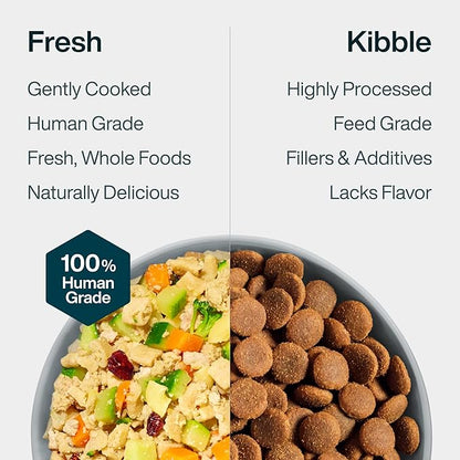 JustFoodForDogs Pantry Fresh Wet Dog Food Complete Meal or Dog Food Topper, Turkey & Whole Wheat Macaroni Human Grade Dog Food Recipe - 12.5 oz (Pack of 12)