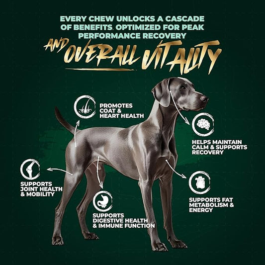 High-Performance & Longevity Soft Chews for Hunting, Sport and Working Dogs with Glucosamine, Chondroitin, Omega-3, Antioxidants, Ashwagandha, Probiotics, Beef Flavor, 90 Count