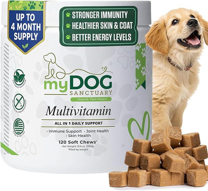 14 in 1- Multivitamin for Dogs 120 Chews - Daily Support for Active & Aging Dogs Supplies/Vitamin A, D3, E, C, and B-Complex for Joint, Skin, Coat, Immune - Dog Multivitamin, Bacon
