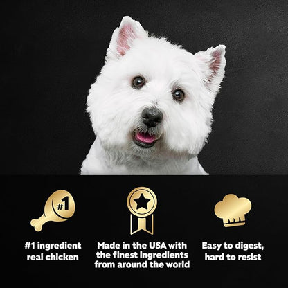 Cesar Classic Loaf in Sauce Adult Wet Dog Food Chicken and Beef Recipe, Wet Food for Dogs, 3.5 oz Easy Peel Trays, 24 Count
