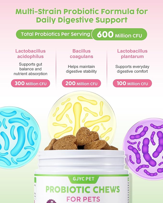 Probiotic Soft Chews for Dogs & Cats - 600M CFU Multi-Strain Probiotics, Prebiotics & Digestive Enzymes - Chicken Flavor Daily Gut Health Supplement - 60 Soft Chews (120g)