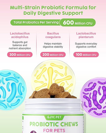 Probiotic Soft Chews for Dogs & Cats - 600M CFU Multi-Strain Probiotics, Prebiotics & Digestive Enzymes - Chicken Flavor Daily Gut Health Supplement - 60 Soft Chews (120g)