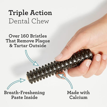 DreamBone Triple Action Dental Sticks Charcoal, 6 Count, Rawhide-Free Chews for Large and XL Sized Dogs Freshens Breath