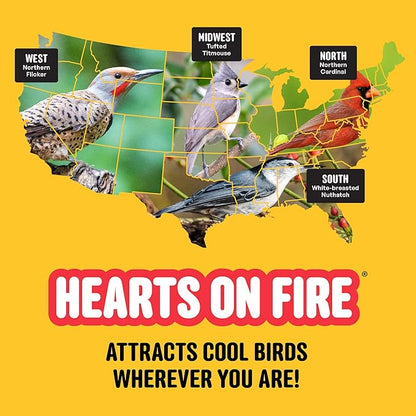 Cool Birds Hearts on Fire Hot Bird Seed – 10 lb. 100% Hulled Sunflower Hearts with Chili Pepper Oil – No Waste Bird Seed for Outside Feeders